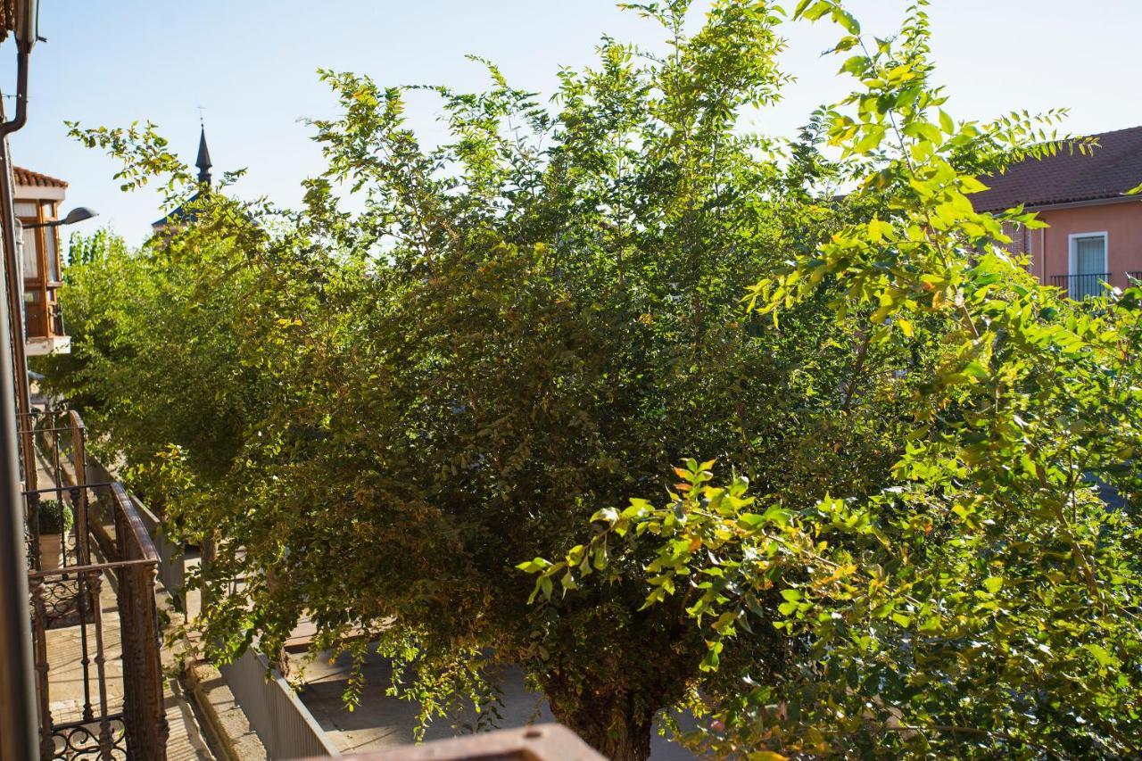 Alojaguay Rueda, Casa Museo Rustica-Moderna, Maxima Tranquilidad Con Comodidad מראה חיצוני תמונה